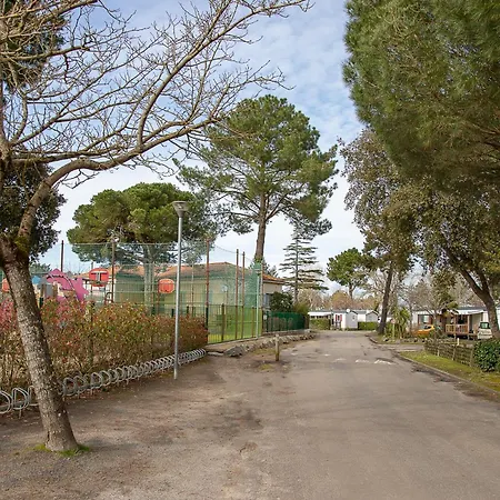 Mobilhome équipé Bois Masson *